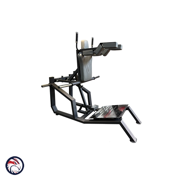 هاگ و ساق وزنه آزاد